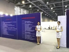 禾星文化熱烈祝賀2019首屆國際貿(mào)易服務(wù)博覽會圓滿成功，共繪會展服務(wù)新藍(lán)圖